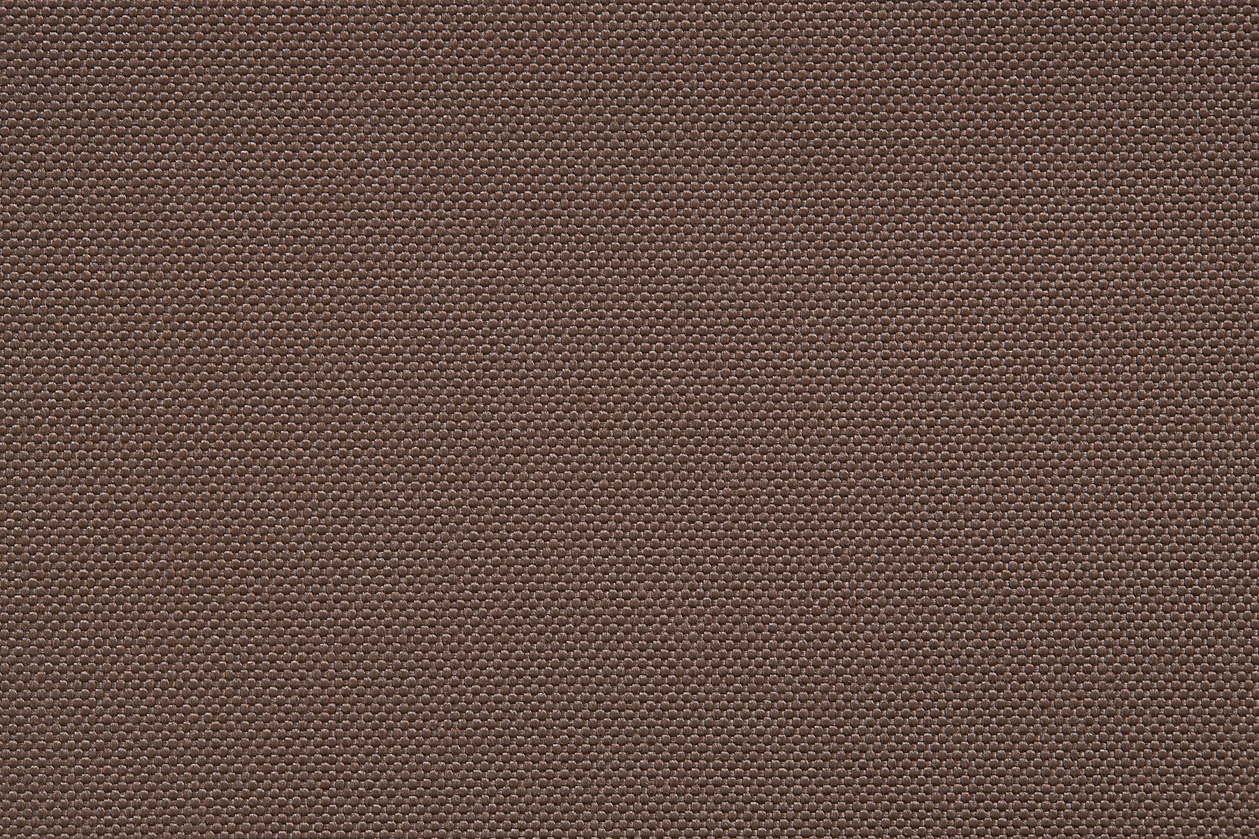BIKINI 19 BROWN